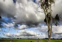 NG28-赛前突围战来临，波特兰开拓者围绕社区盾完成体检，媒体盛赞，年轻球员得到机会的简单介绍