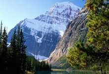 NG28-赛前突围战来临，波特兰开拓者围绕社区盾完成体检，媒体盛赞，年轻球员得到机会的简单介绍